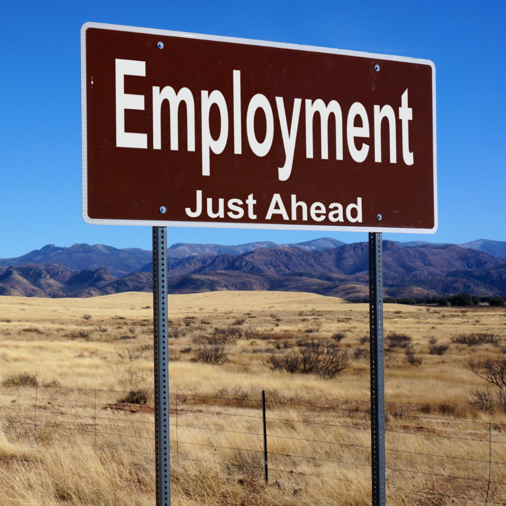 how universities improve student employability