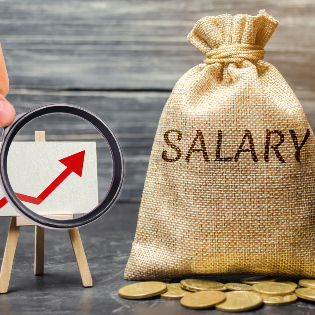 Fixed Salary vs Performance Incentives